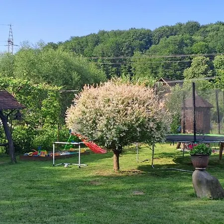 Holiday home Casa Dobric Sovata